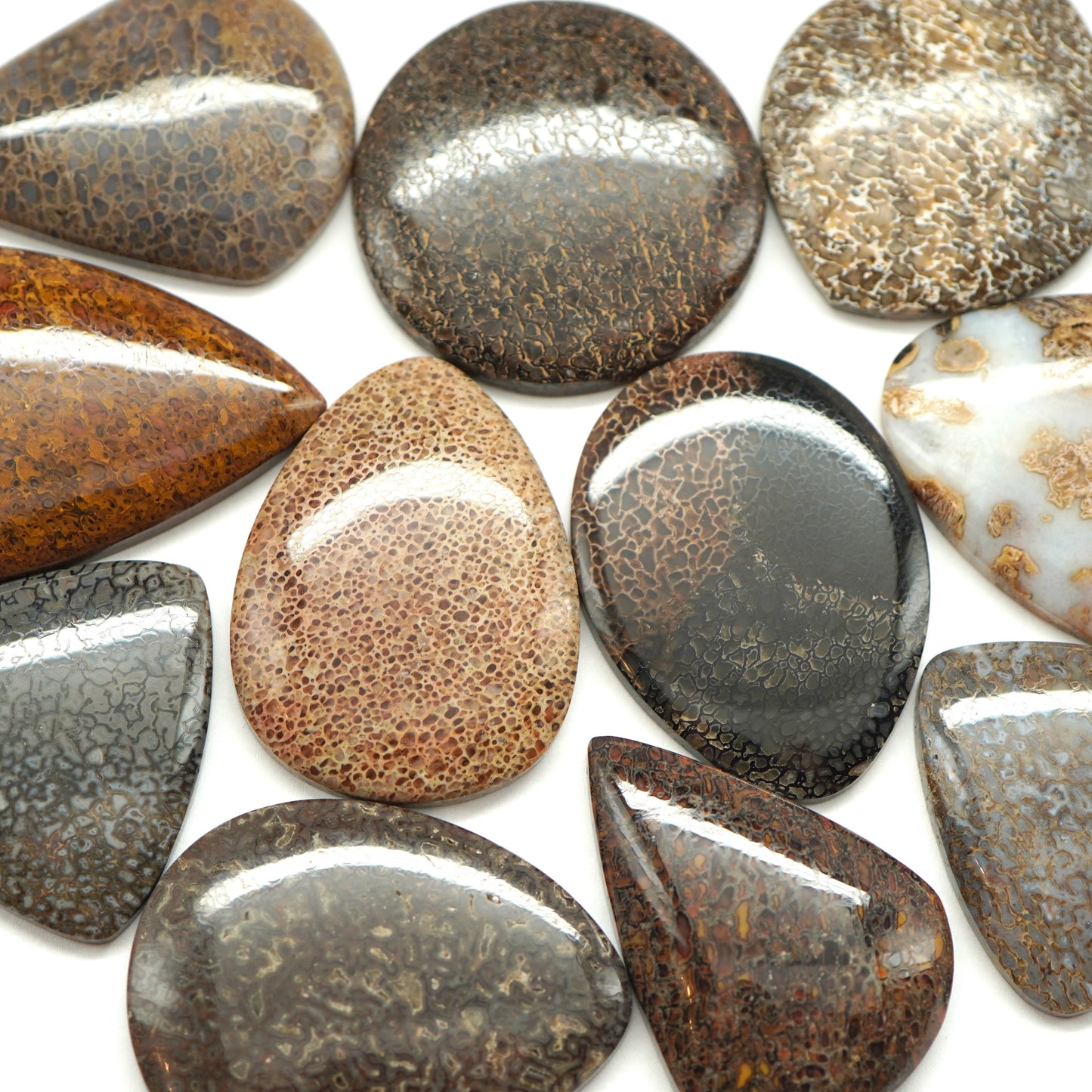 Dino Bone Gemstone Pendant Wire Wrapping Kit
