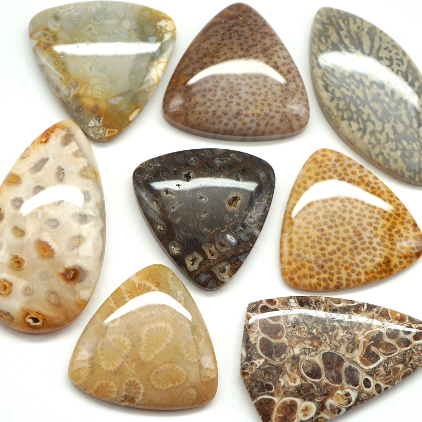 Fossil Gemstone Pendant Wire Wrapping Kit